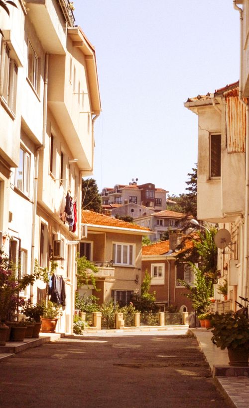 Free Serene urban alley with sun-drenched apartments and vibrant greenery. Stock Photo