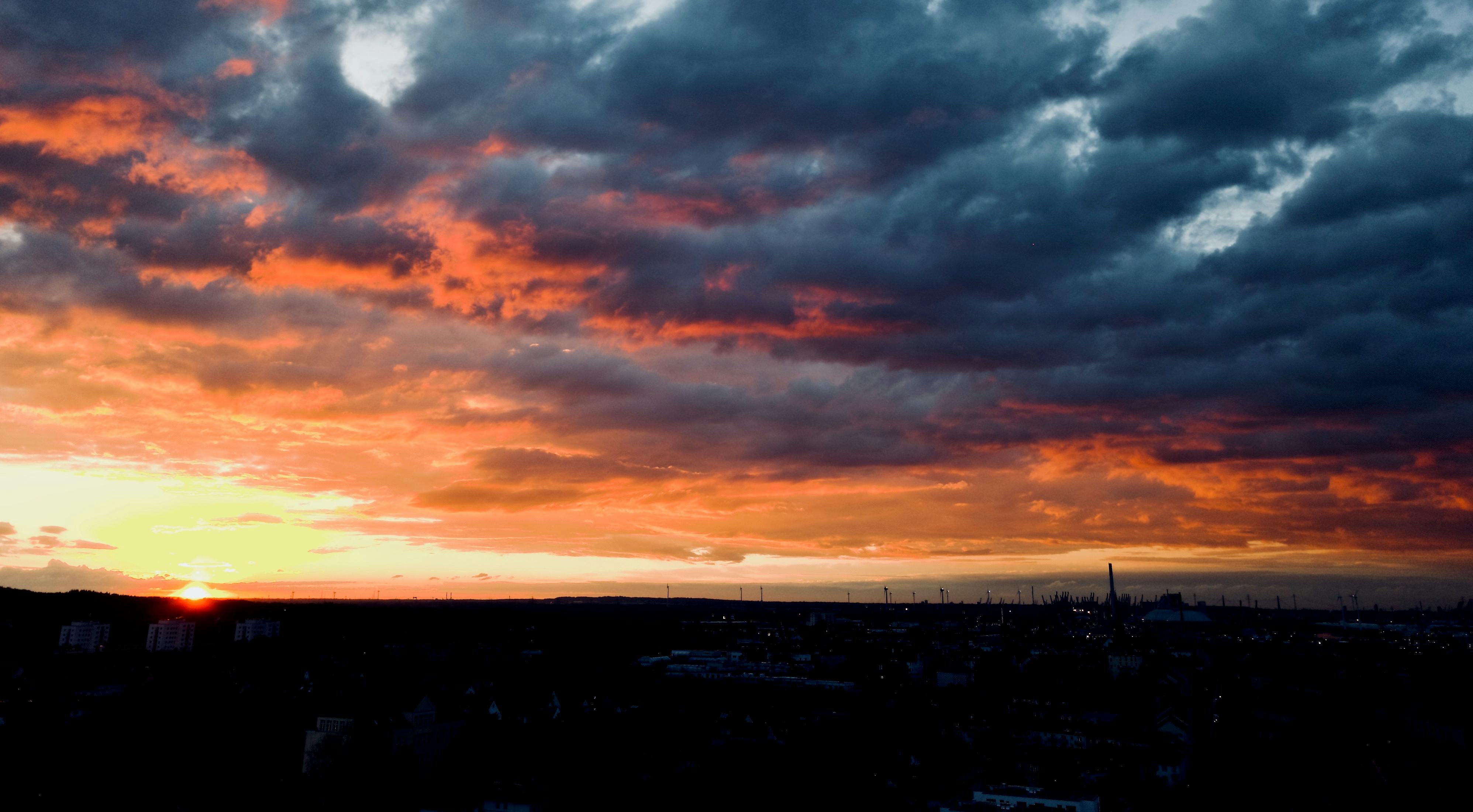 Wrestling Fans Speculating