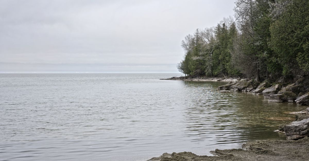 Cảnh sát Ottawa buộc tội người đàn ông vùng Georgian Bay tội giết người cấp độ 1