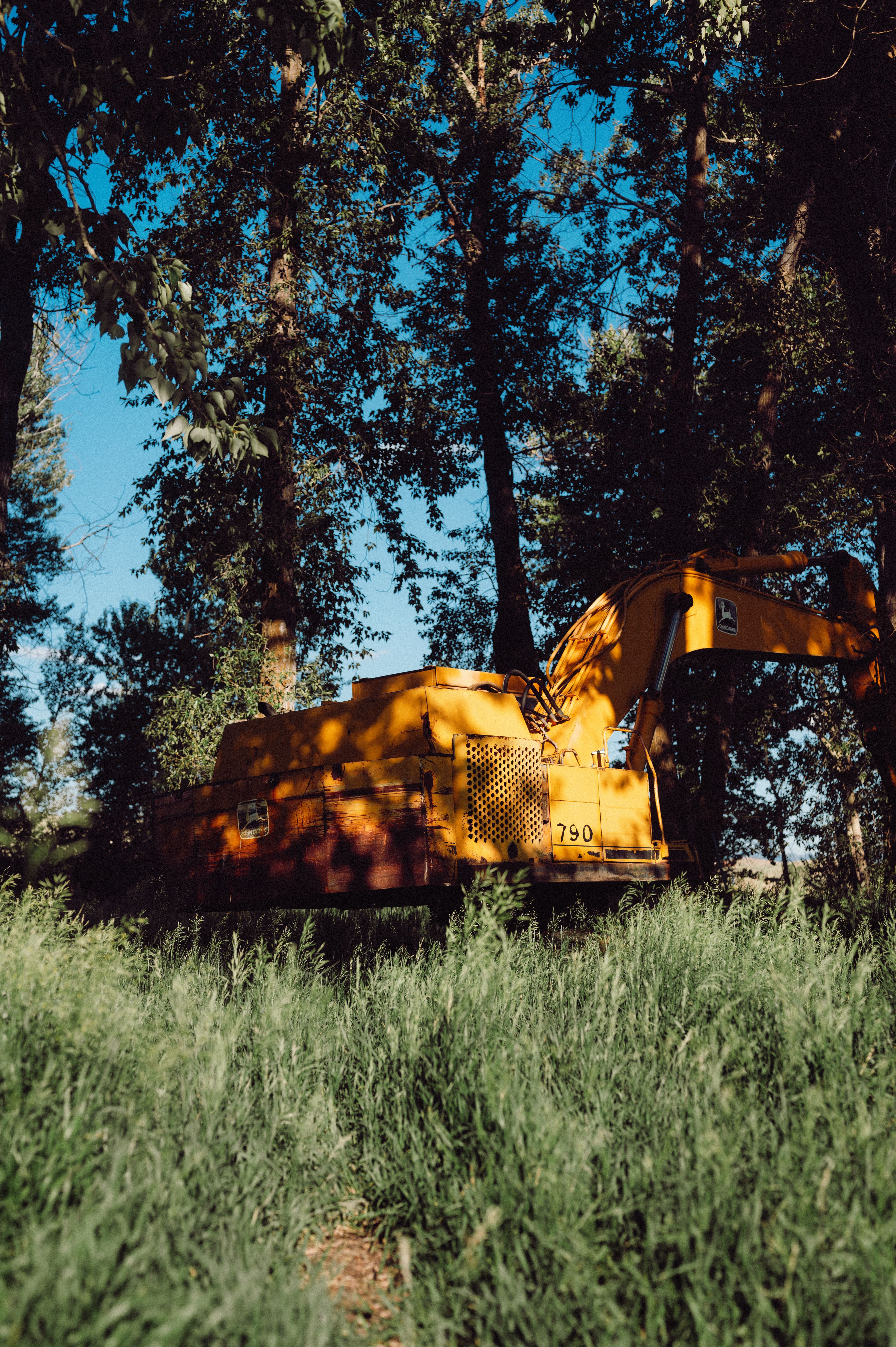 Forestry mulching and brush clearing equipment in a wooded area