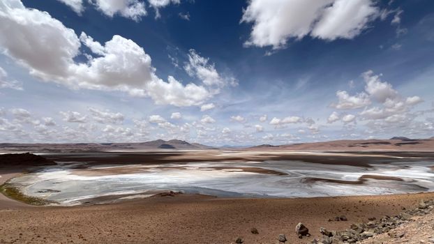 Atacama salt flat flamingos — Atacama Desert