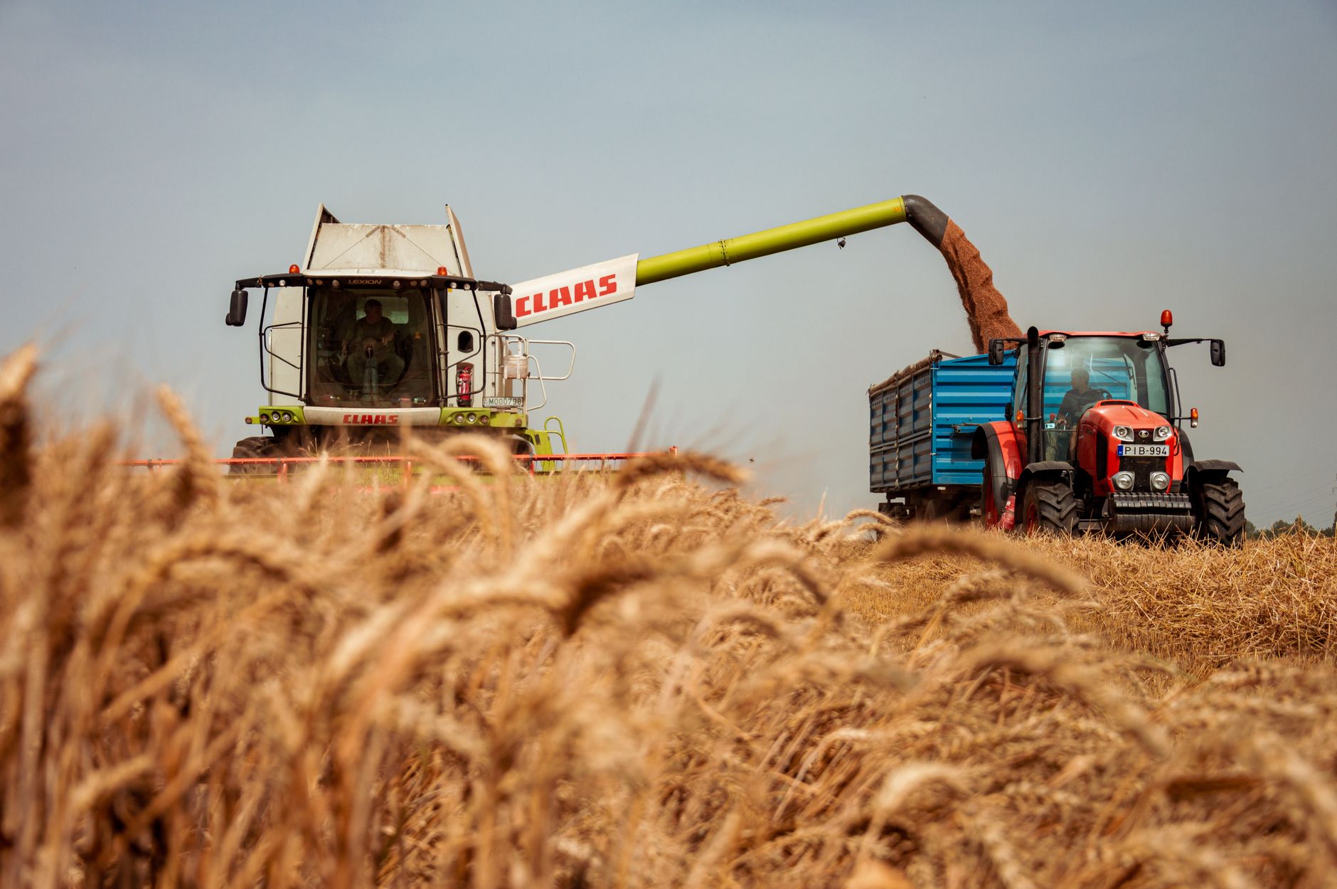 New Agricultural Climate Rules Threaten Farm Viability and Wholesale Food Costs