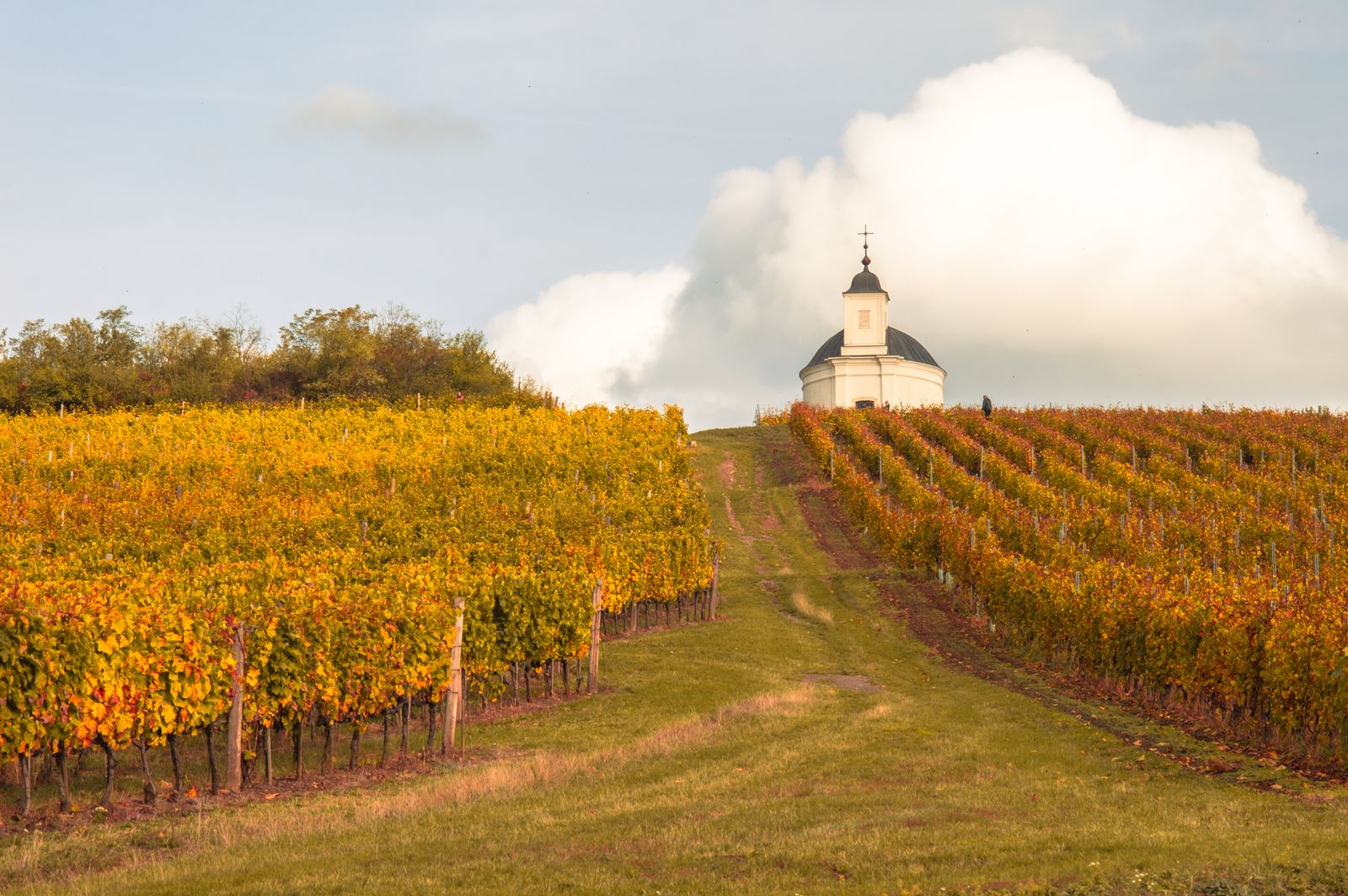 Blending Tradition and Technology