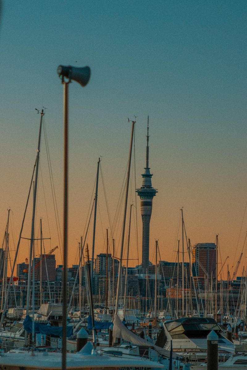 Marina boats at Viaduct Harbour with Sky Tower view in Auckland