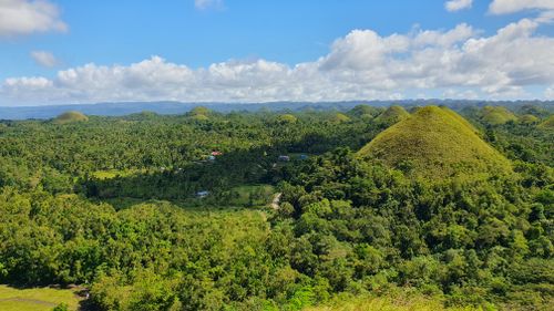 Free Chocolate Hills, Bohol, Philippines Stock Photo