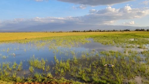 Free Landscape of Amboseli National Park, Kenya Stock Photo