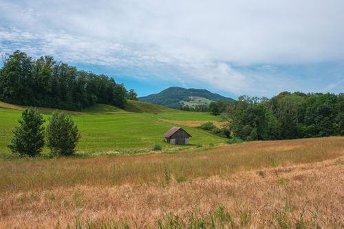 Free A peaceful rural scene with rolling fields, hills, and a solitary barn in a lush green landscape. Stock Photo