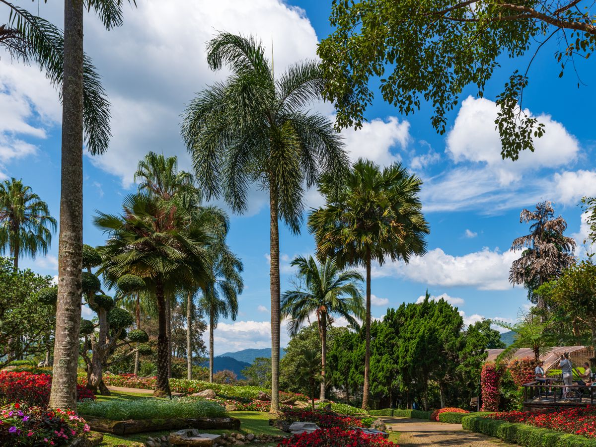7 Day Women's Mind-Body-Soul Wellness Retreat in Thailand 3