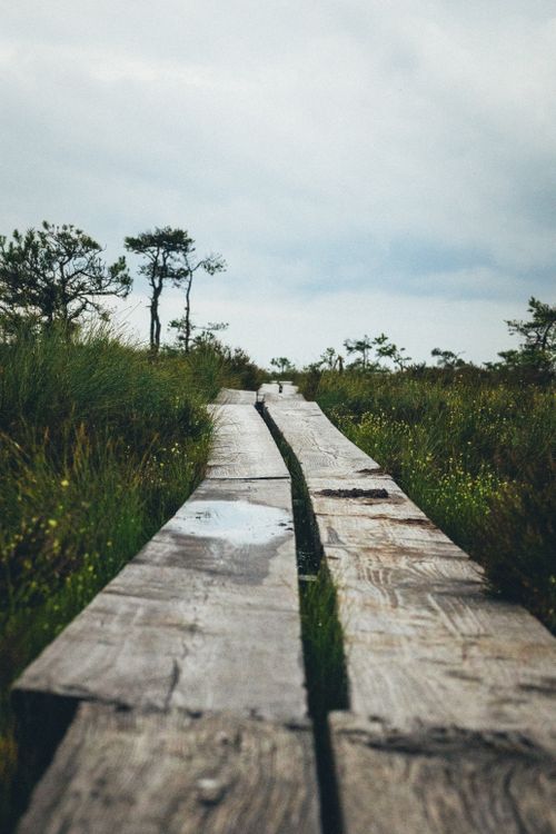 Free Scenic wooden boardwalk through grassy rural landscape on a cloudy day. Stock Photo