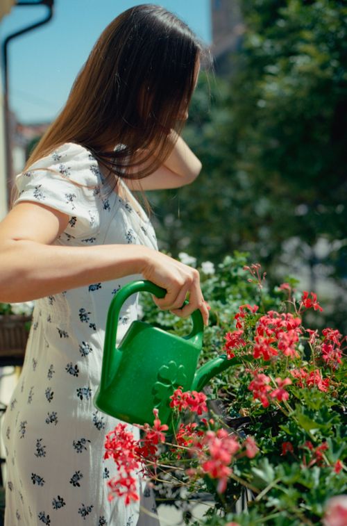 Free A woman in a white dress waters vibrant flowers on a sunny balcony. Stock Photo