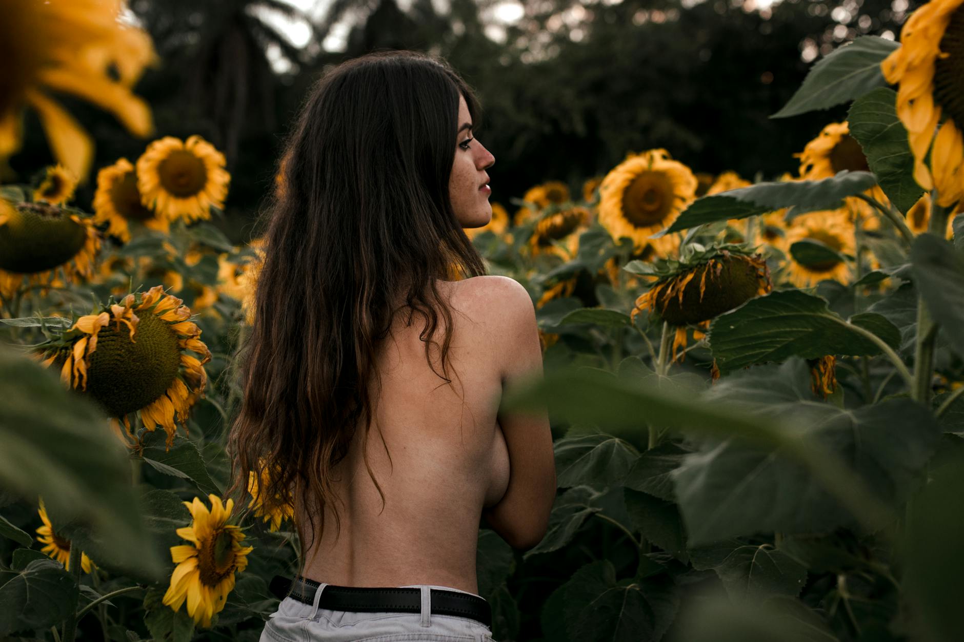 Shirtless woman surrounded by sunflowers