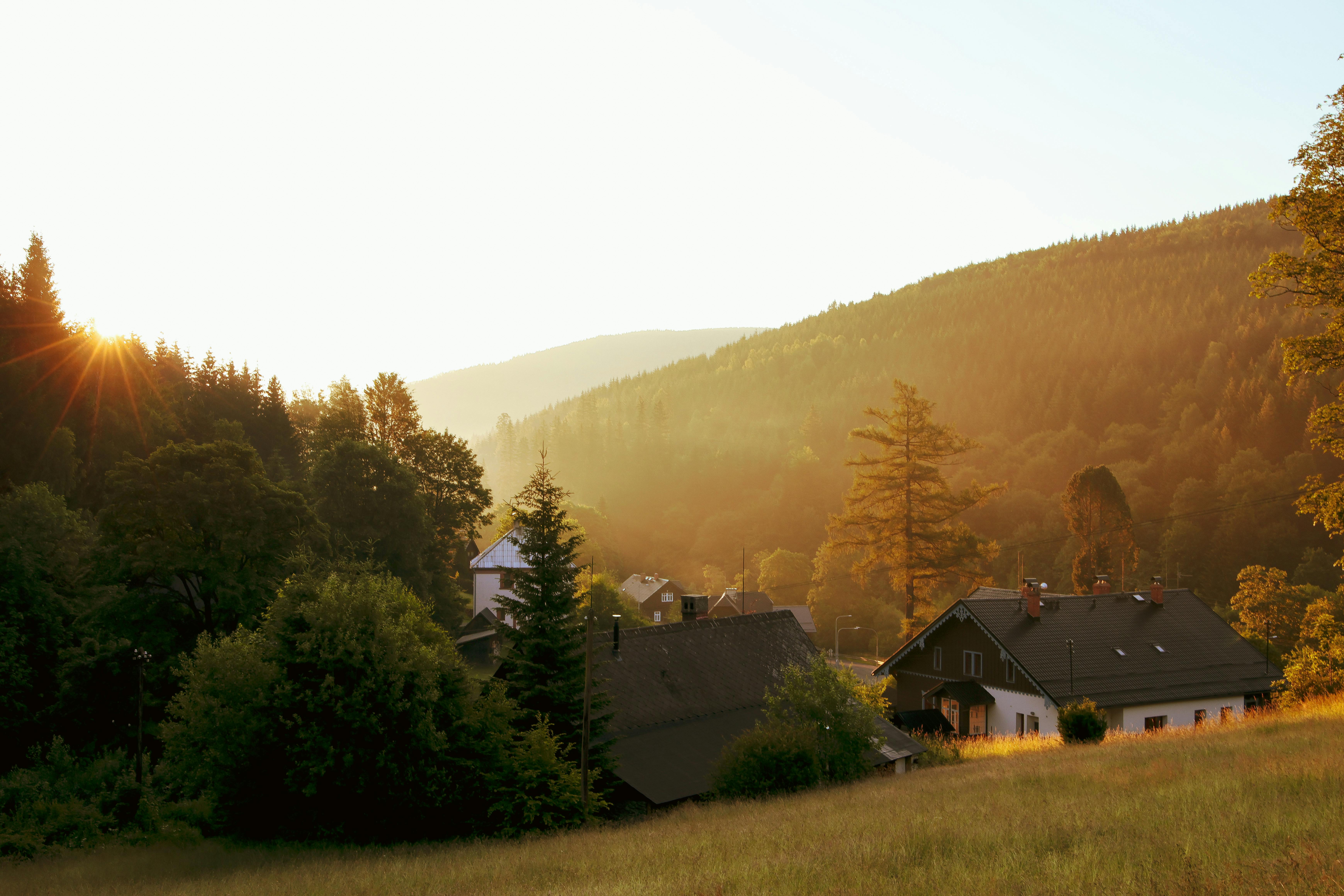 Home Cooking — Photo by Jan Brndiar on Pexels