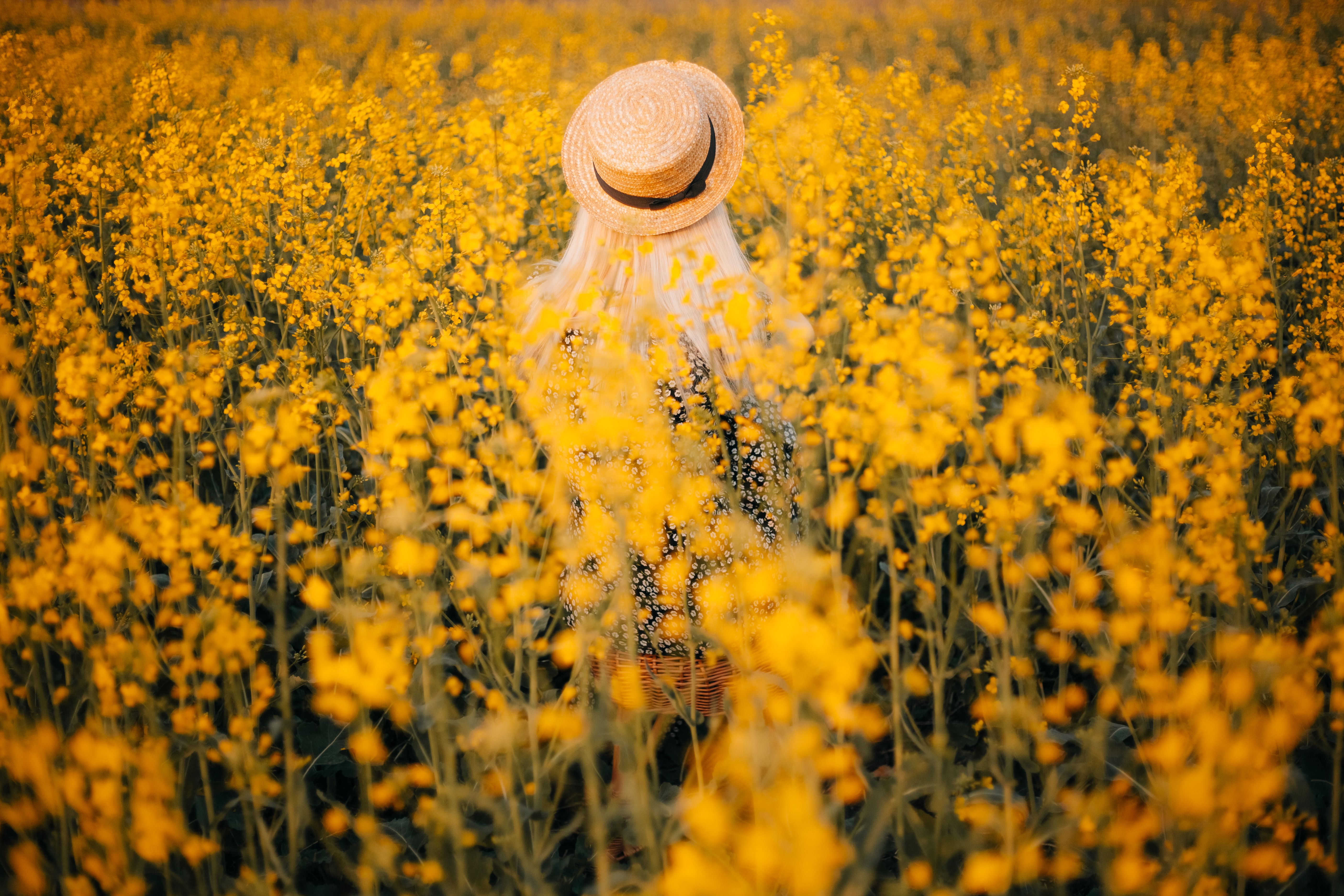 How to Find Creative Photography Inspiration in 7 Steps — Photo by Karina Rymarchuk on Pexels