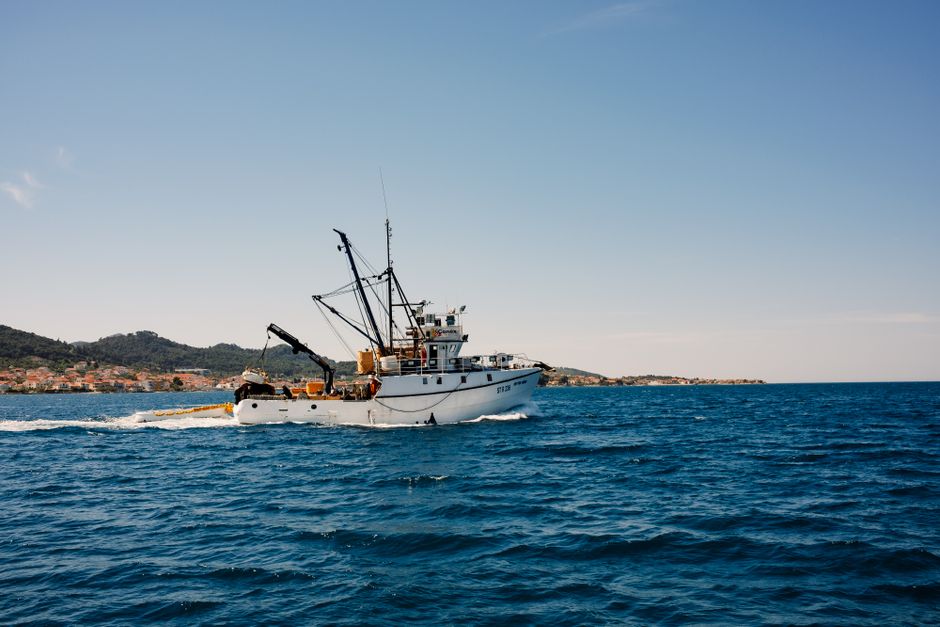 Trump Reopens Pacific Monuments to Commercial Fishing