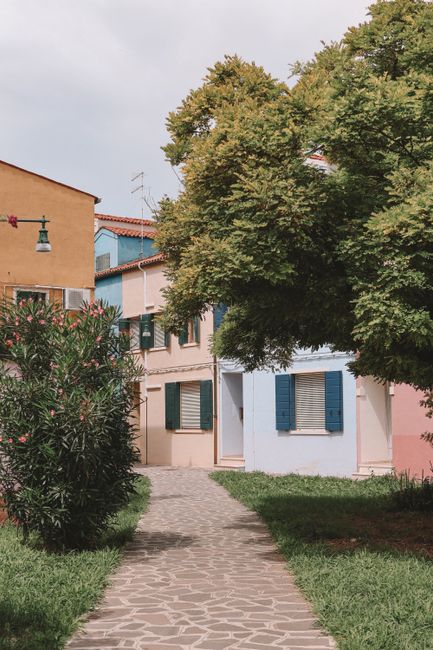 Scenic view of colorful houses and lush greenery on a sunny day in Burano, Venice.