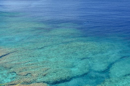 Okinawa, Japan photo 11