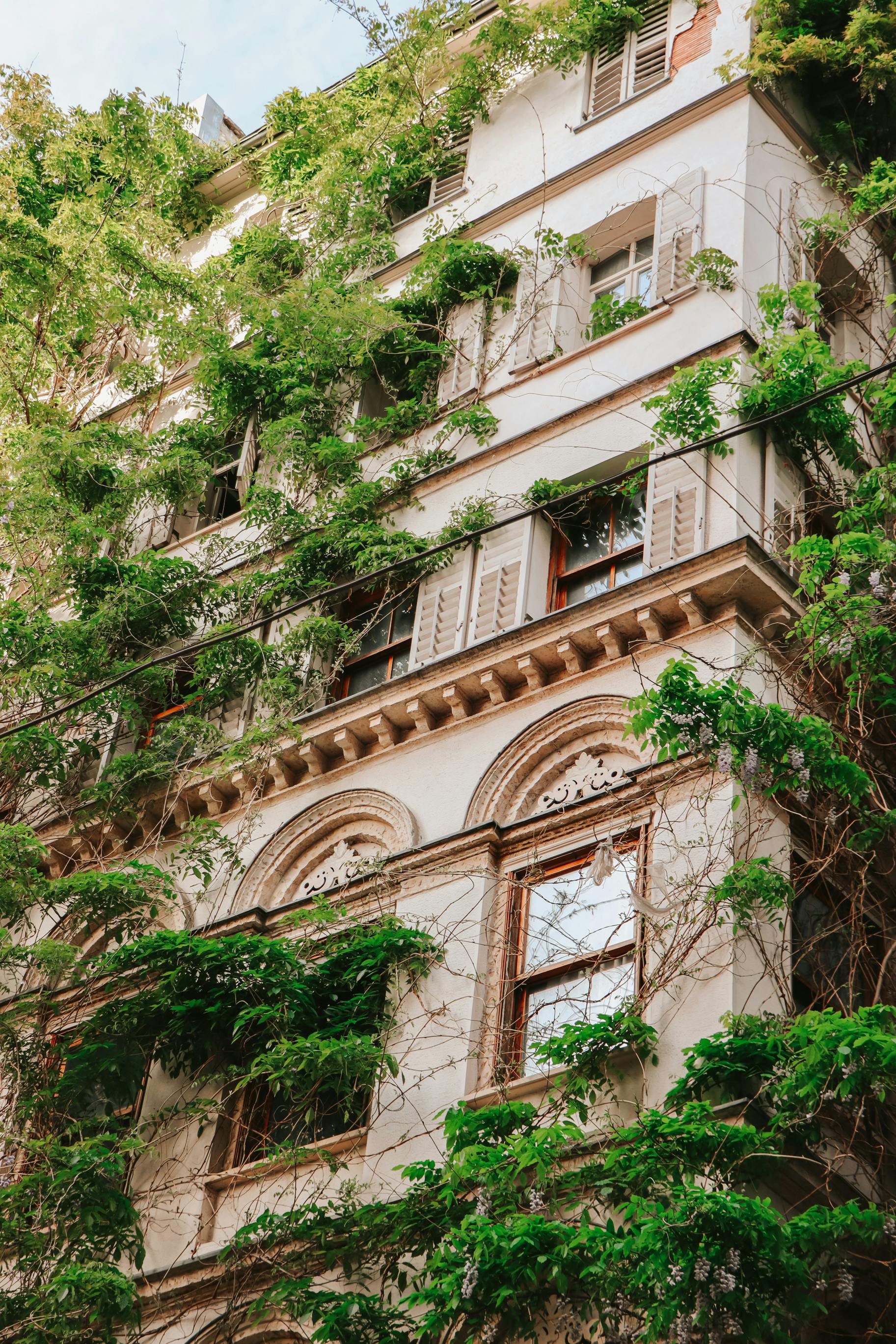 a tall building with green vines growing on it