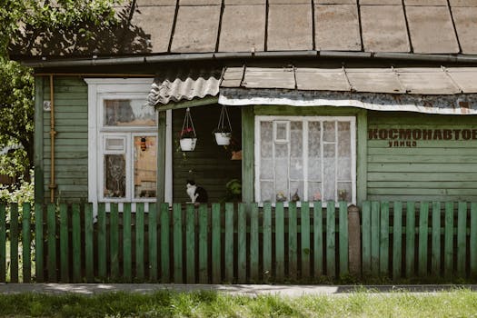 Charming vintage house with cat and potted plants along a green fence under sunny skies.