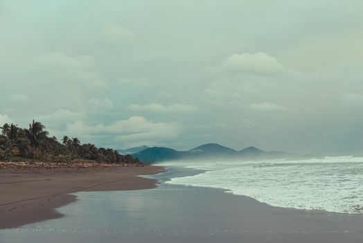 A tranquil tropical beach with palm trees and gentle waves under an overcast sky.