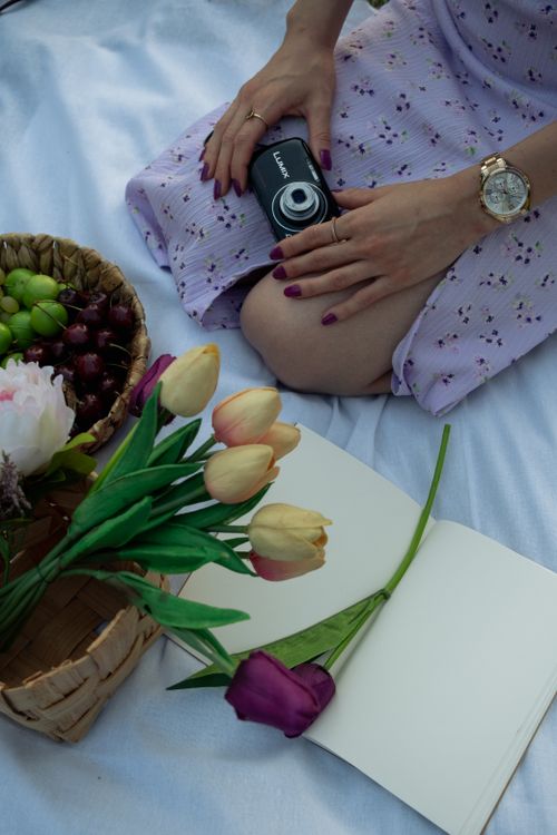 Free Serene picnic setting with tulips, grapes, and a vintage camera, perfect for leisure themes. Stock Photo