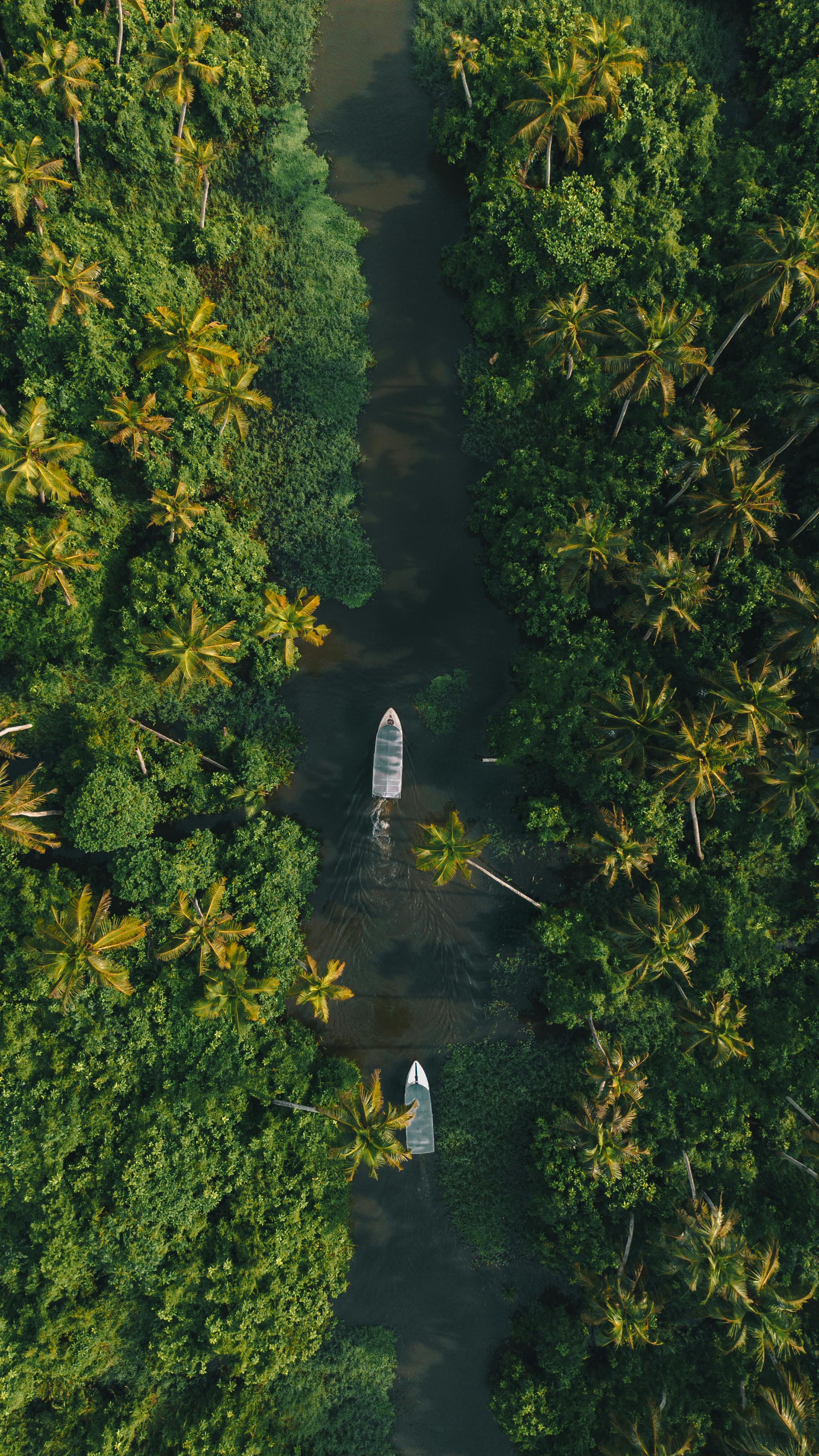 A stunning top view of boats navigating through a tropical river flanked by dense palm forests.