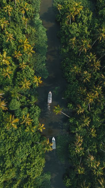 A stunning top view of boats navigating through a tropical river flanked by dense palm forests.