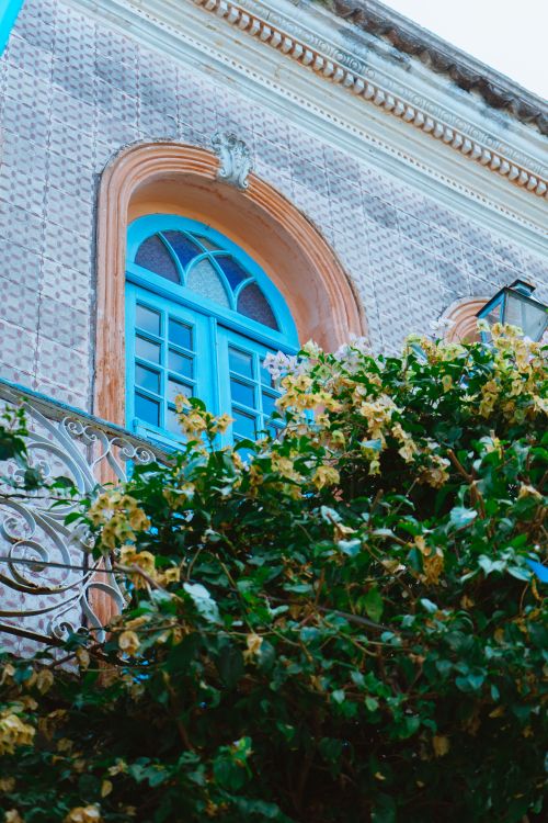 Arch Behind Building Window and Arch behind Tree · Free Stock Photo