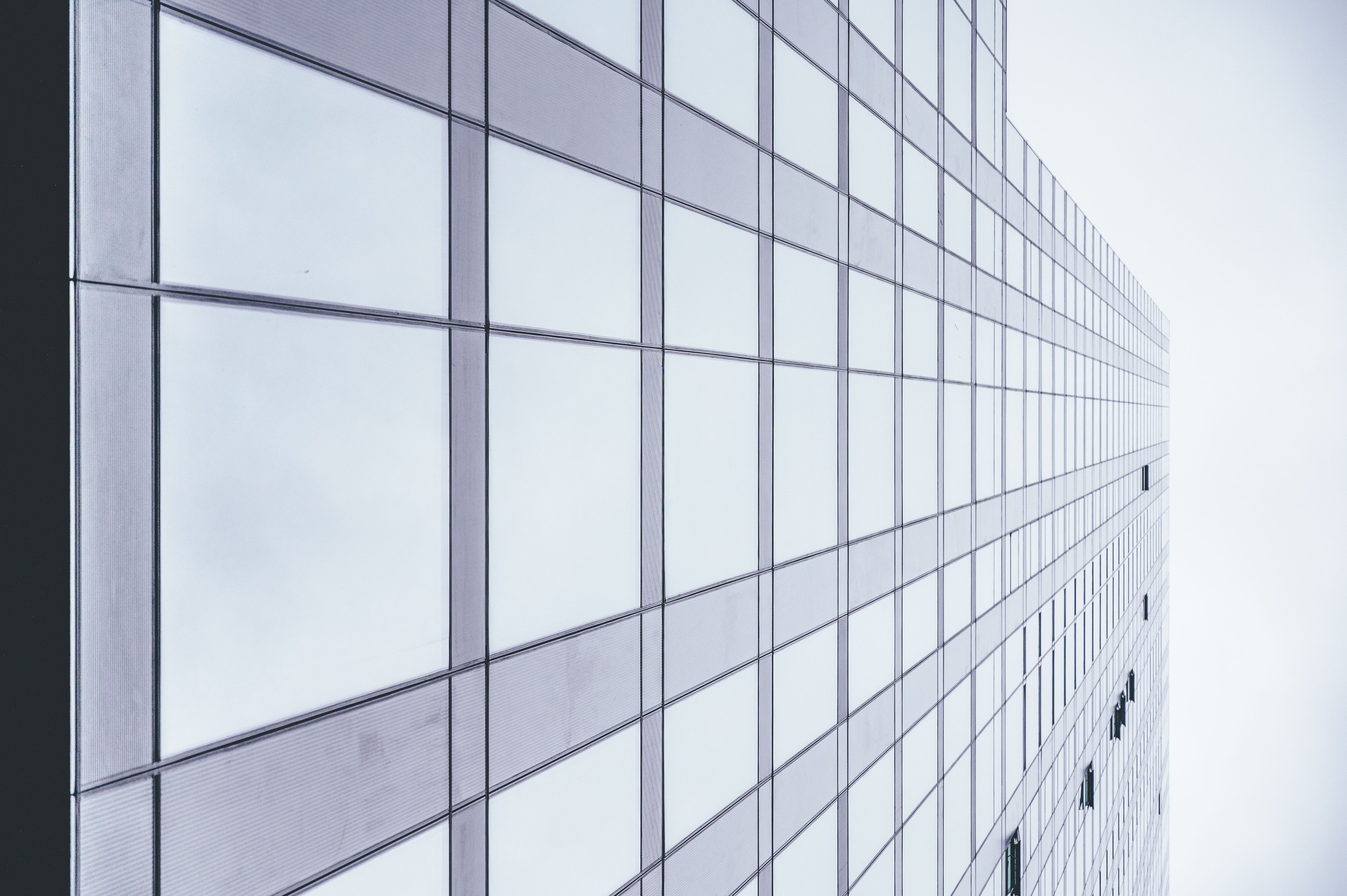 window tinting for office buildings near peoria