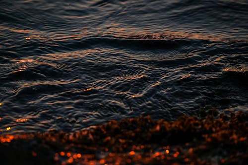 Free Rippling Body of Water Stock Photo