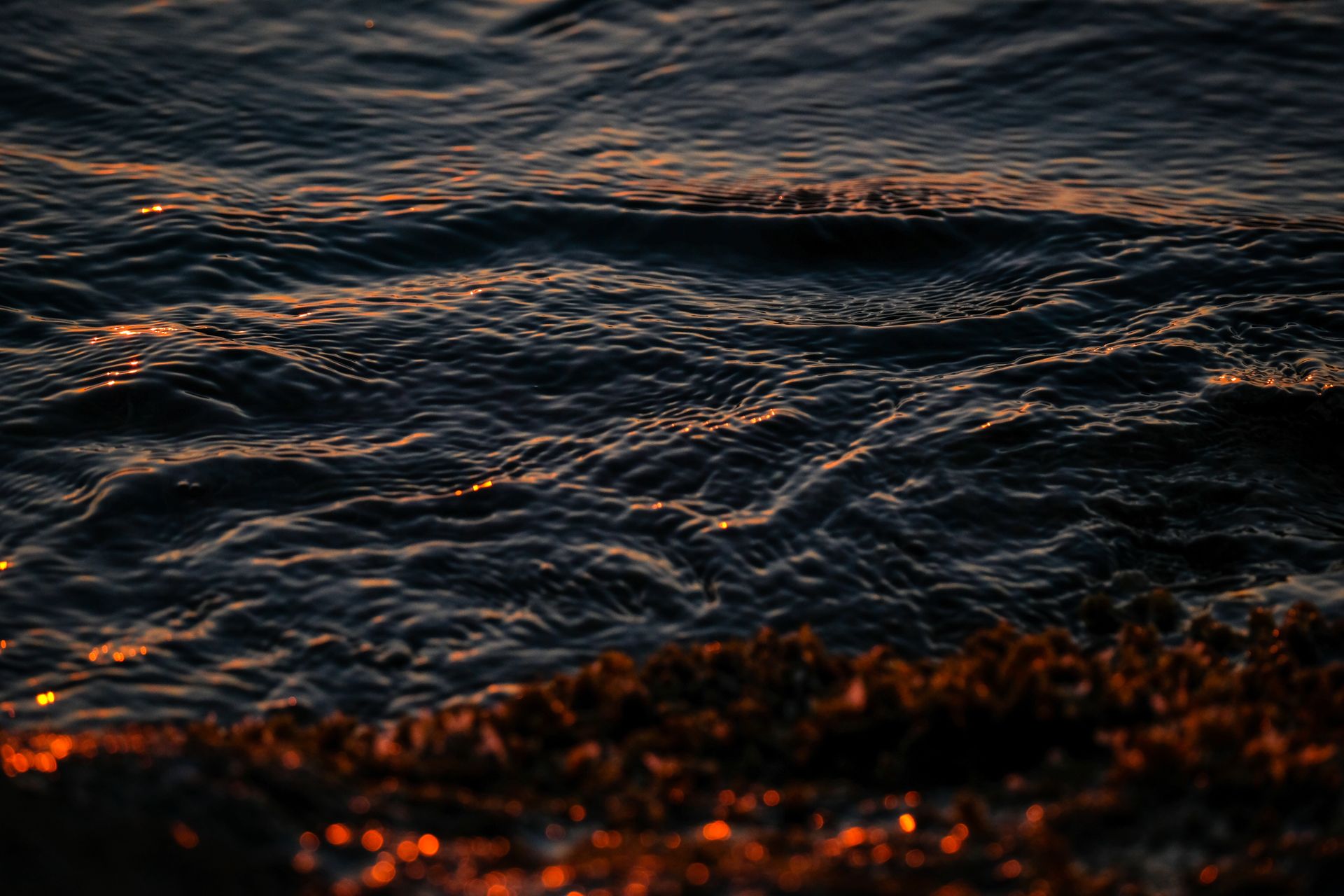 Rippling Body of Water