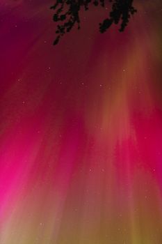 Stunning display of the aurora borealis illuminating the night sky over Victoria, BC, with vibrant colors visible.