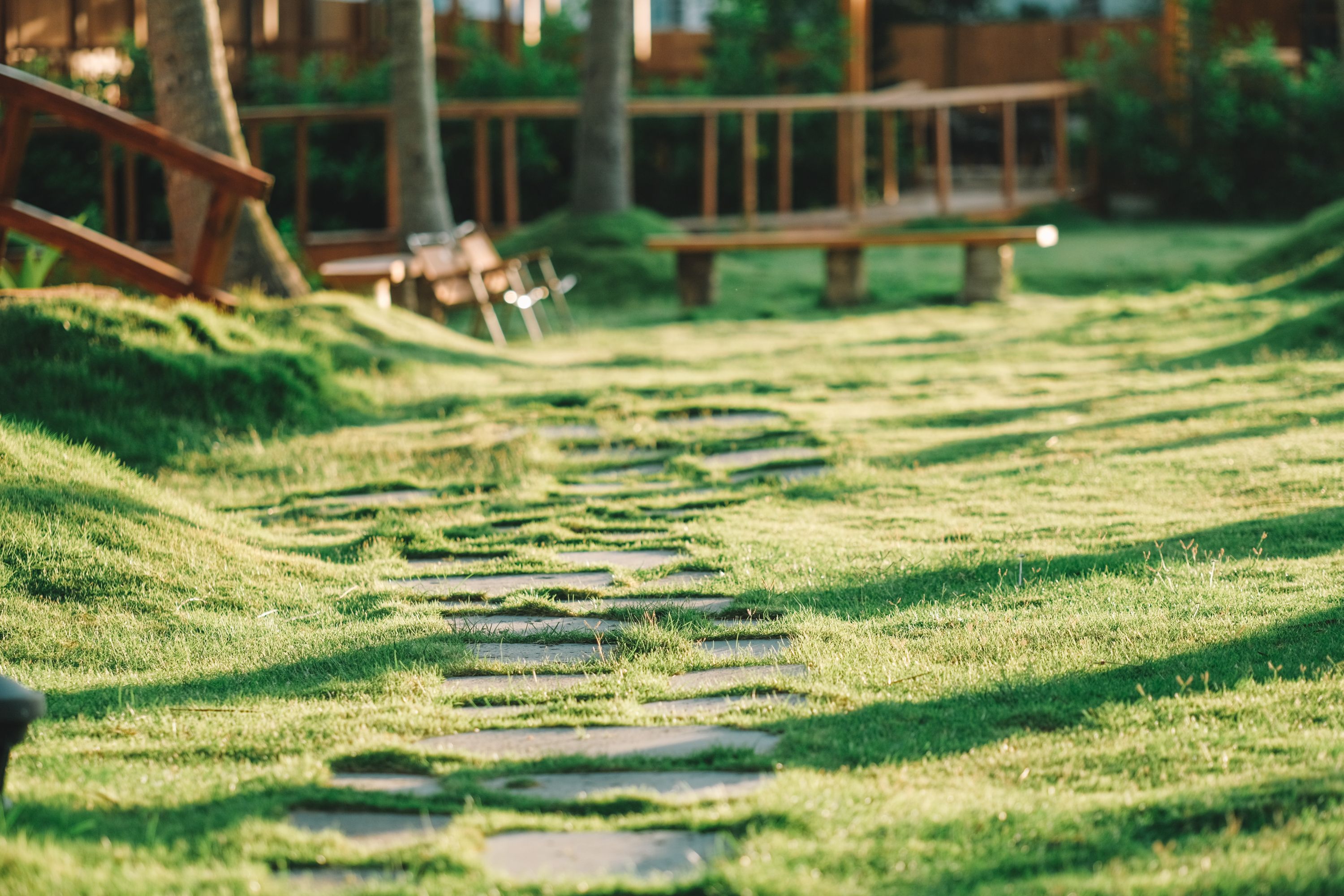 compass stone path forest