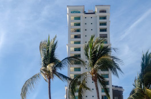 Puerto Vallarta, Mexico photo 6