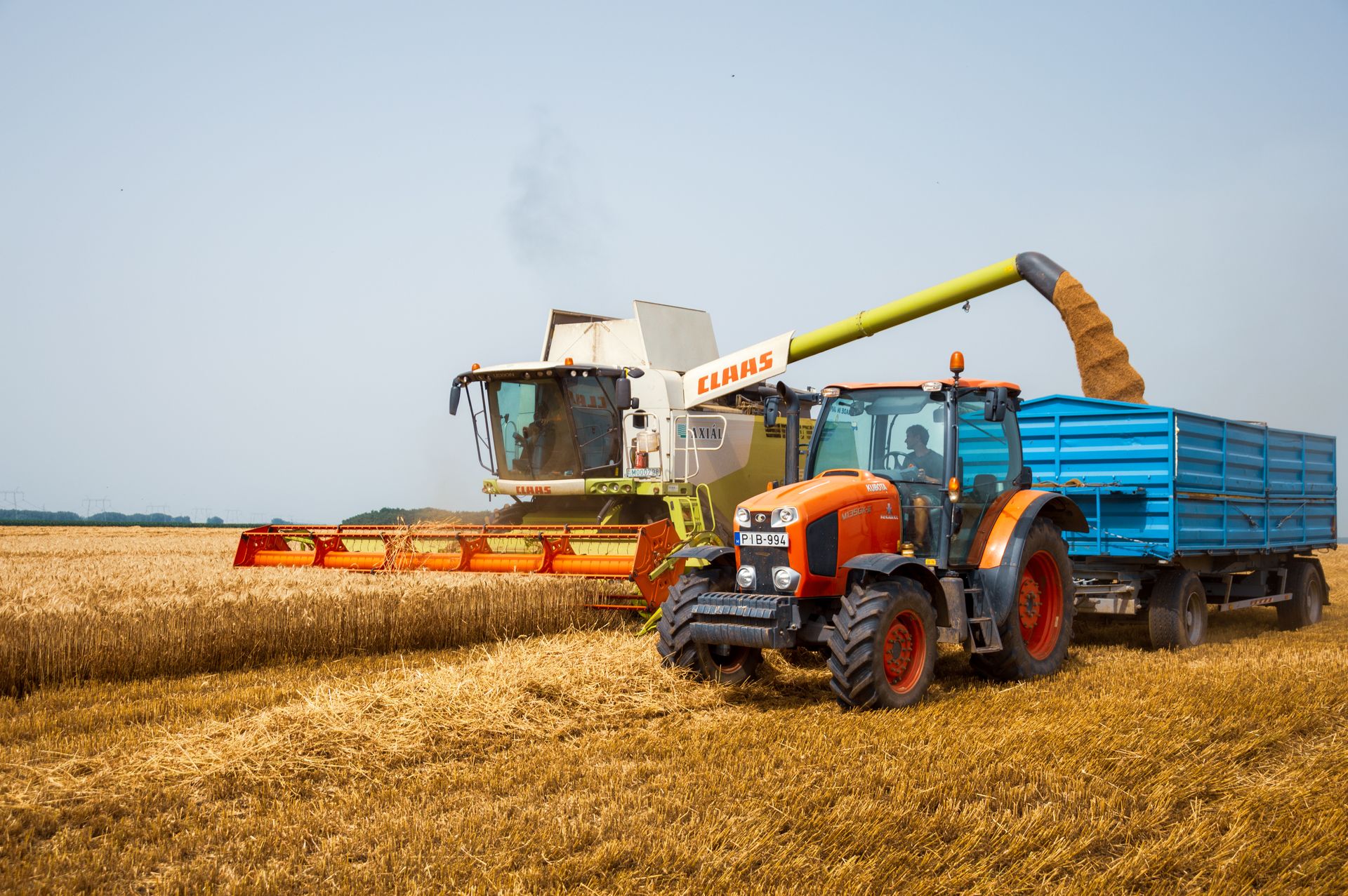Landwirtschaft