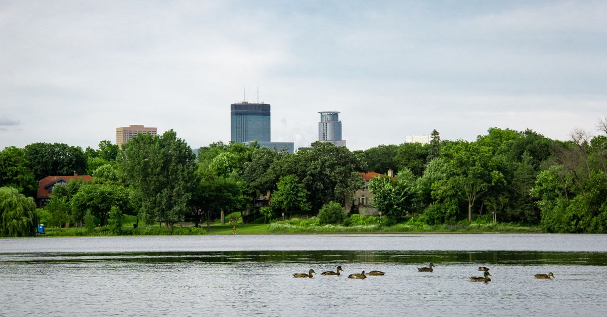 Serene view of Minneapolis skyline with ducks on a tranquil lake, surrounded by lush greenery.