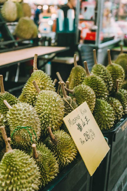 Durian Delights A Guide to Malaysia's King of Fruits Durian Delights A Guide to Malaysia's King of Fruits