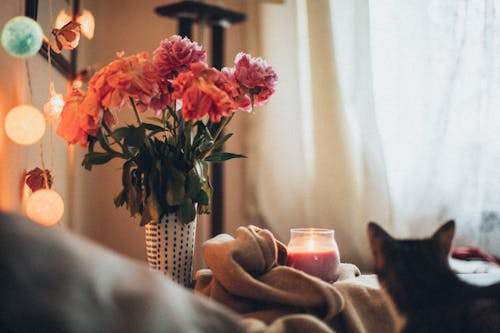 Pink and Orange Petaled Flowers In A Vase
