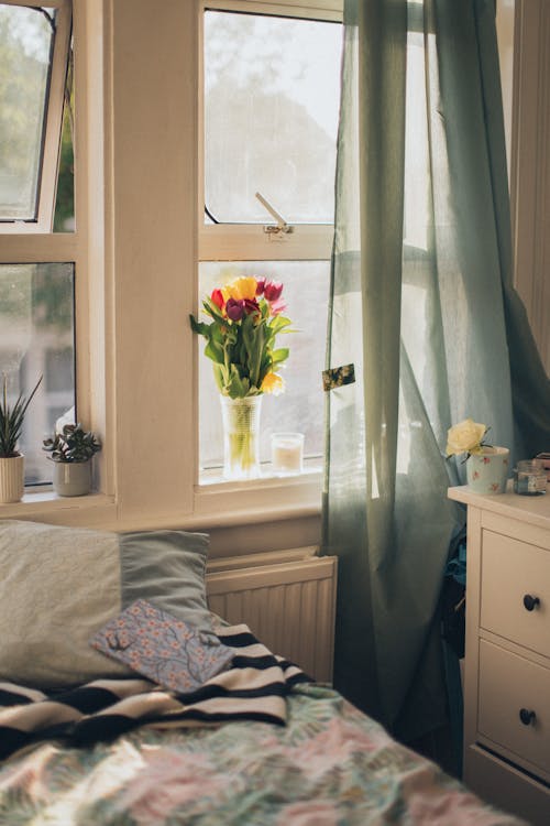 無料 窓の横にある透明な花瓶のチューリップ 写真素材