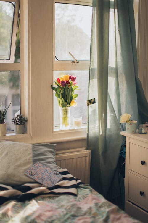 Tulips in Clear Vase Beside Window