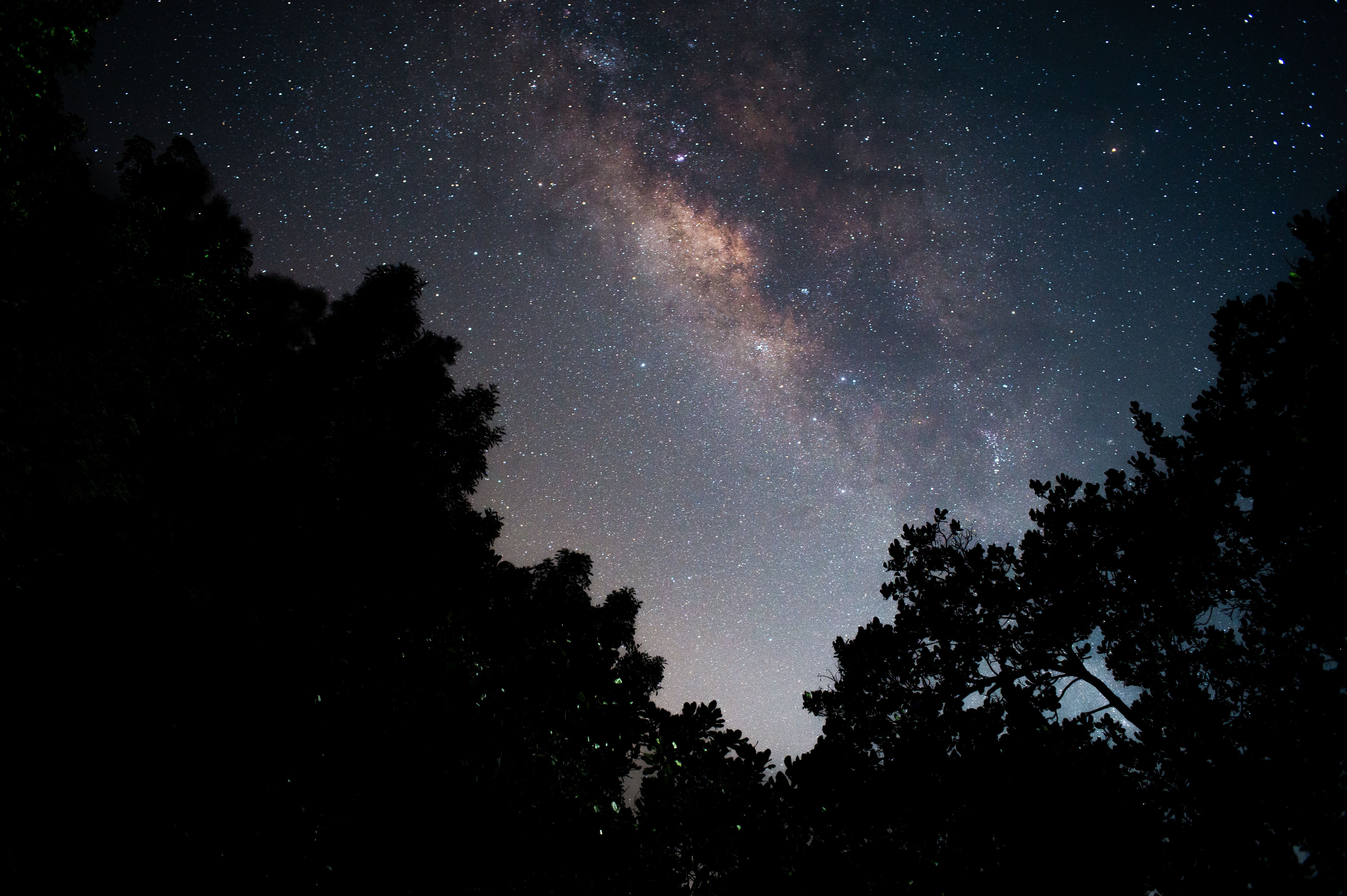 Celestial Discoveries and Tech Innovations: A Dive into Space Science — Photo by Dương Nhân on Pexels