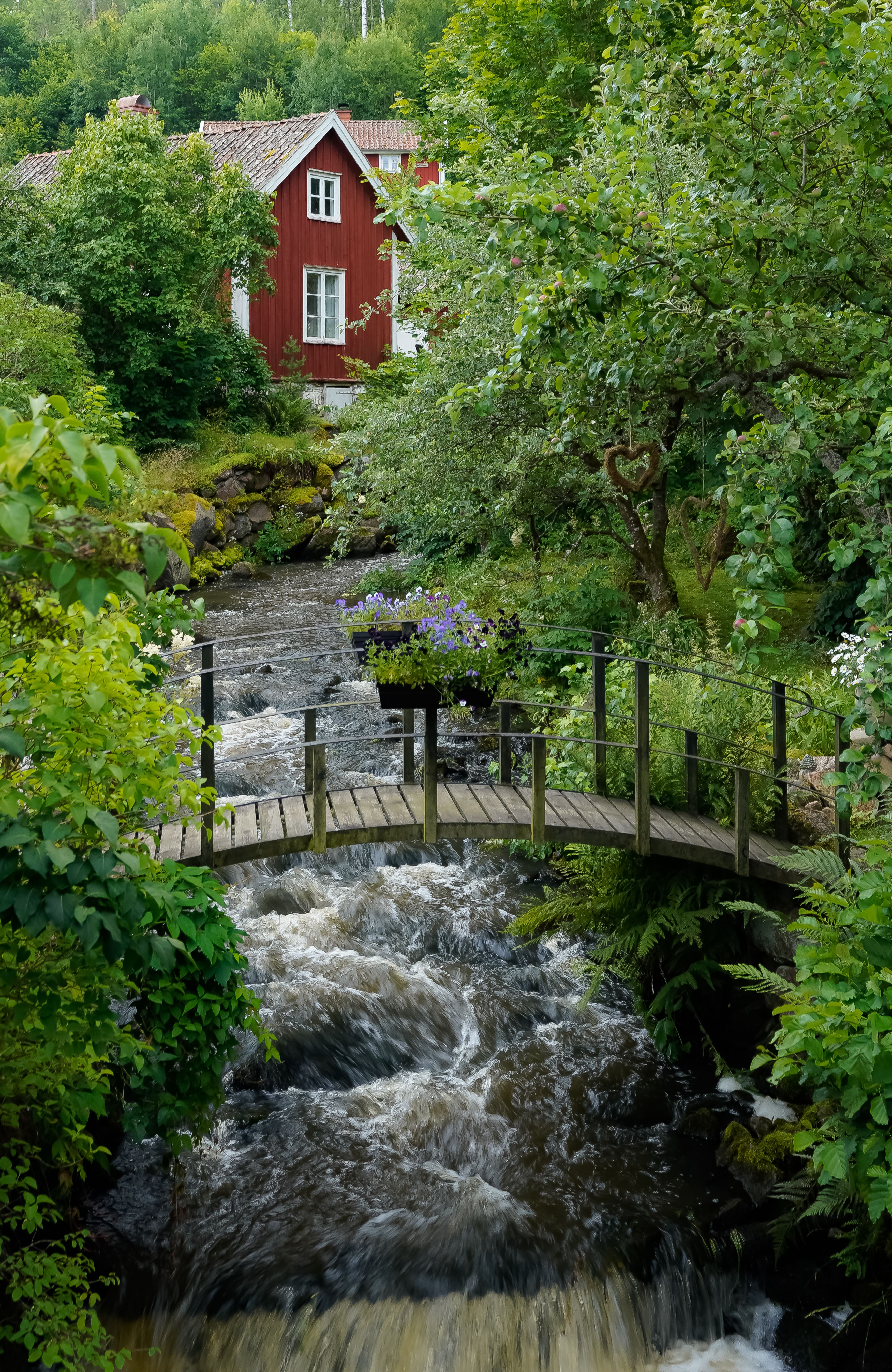A small wooden bridge crosses a stream in the woods · Free Stock Photo