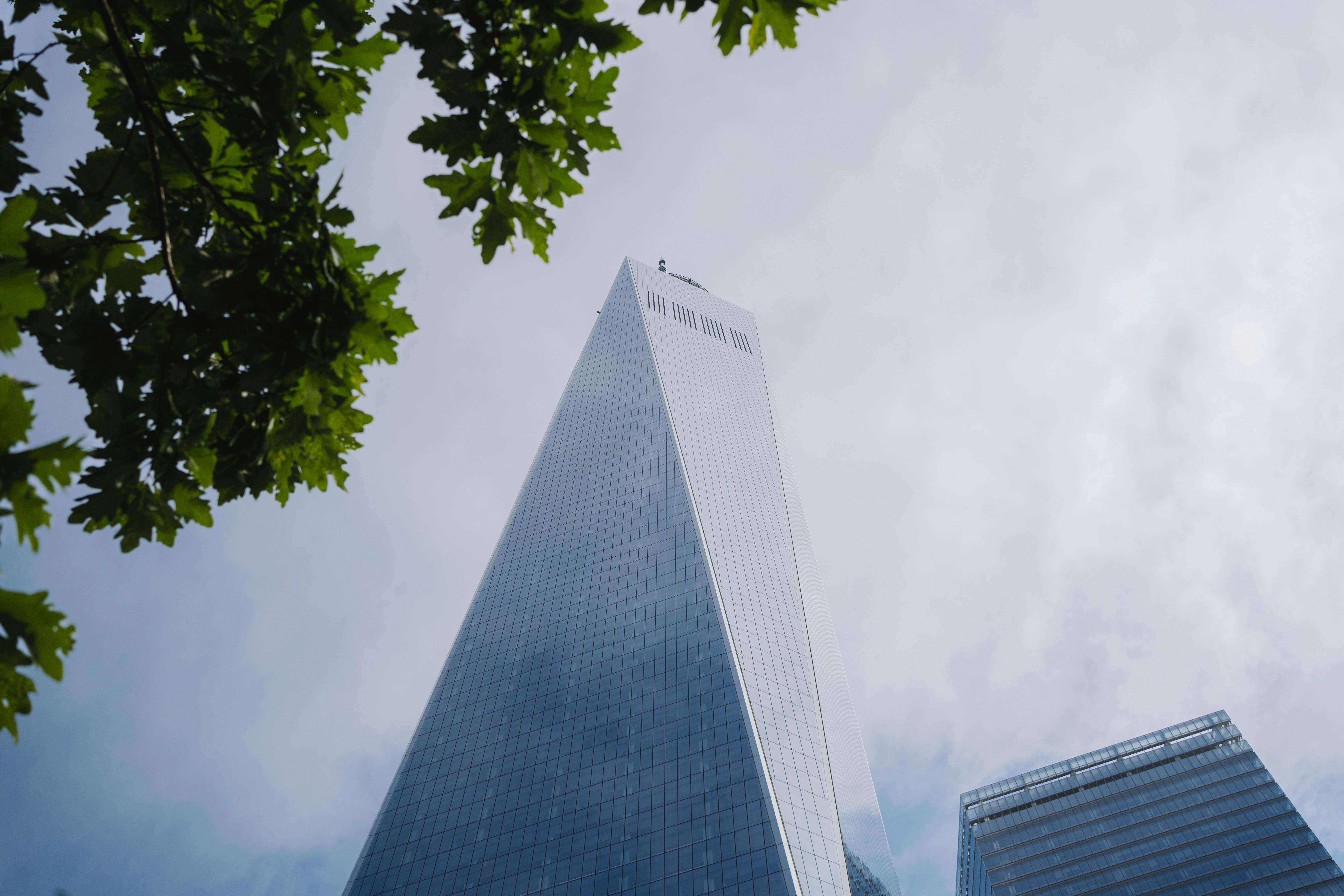 $57M Transamerica Life Insurance rate increase class action settlement — Photo by Diogo Miranda on Pexels