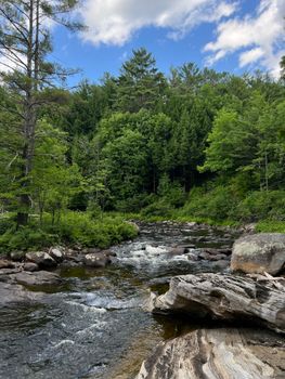 A scenic view of a flowing river surrounded by lush forest trees and rocky formations.
