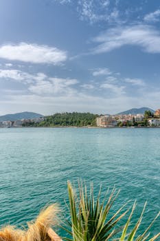 Image by Alex Ravvas