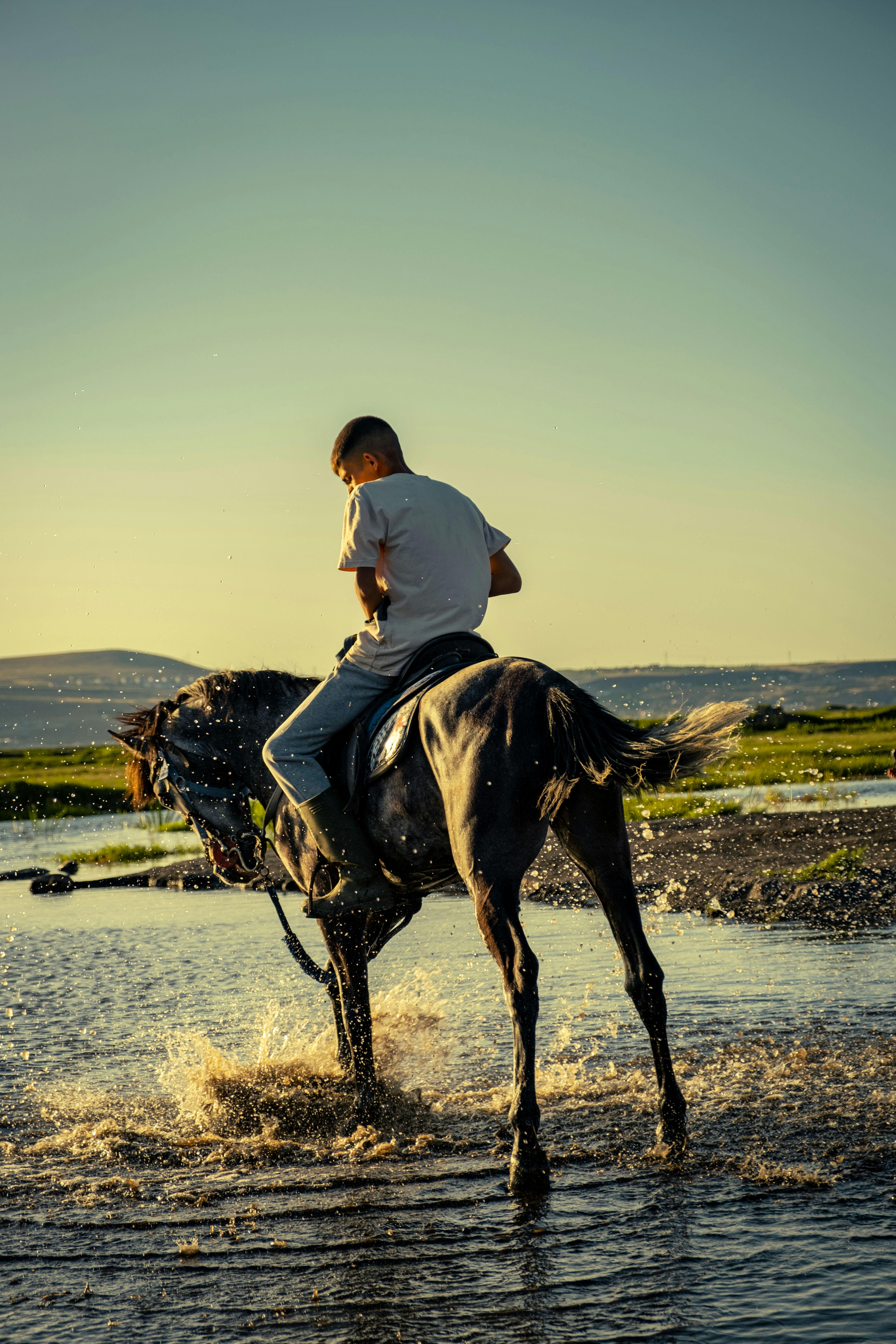 Horseback Riding