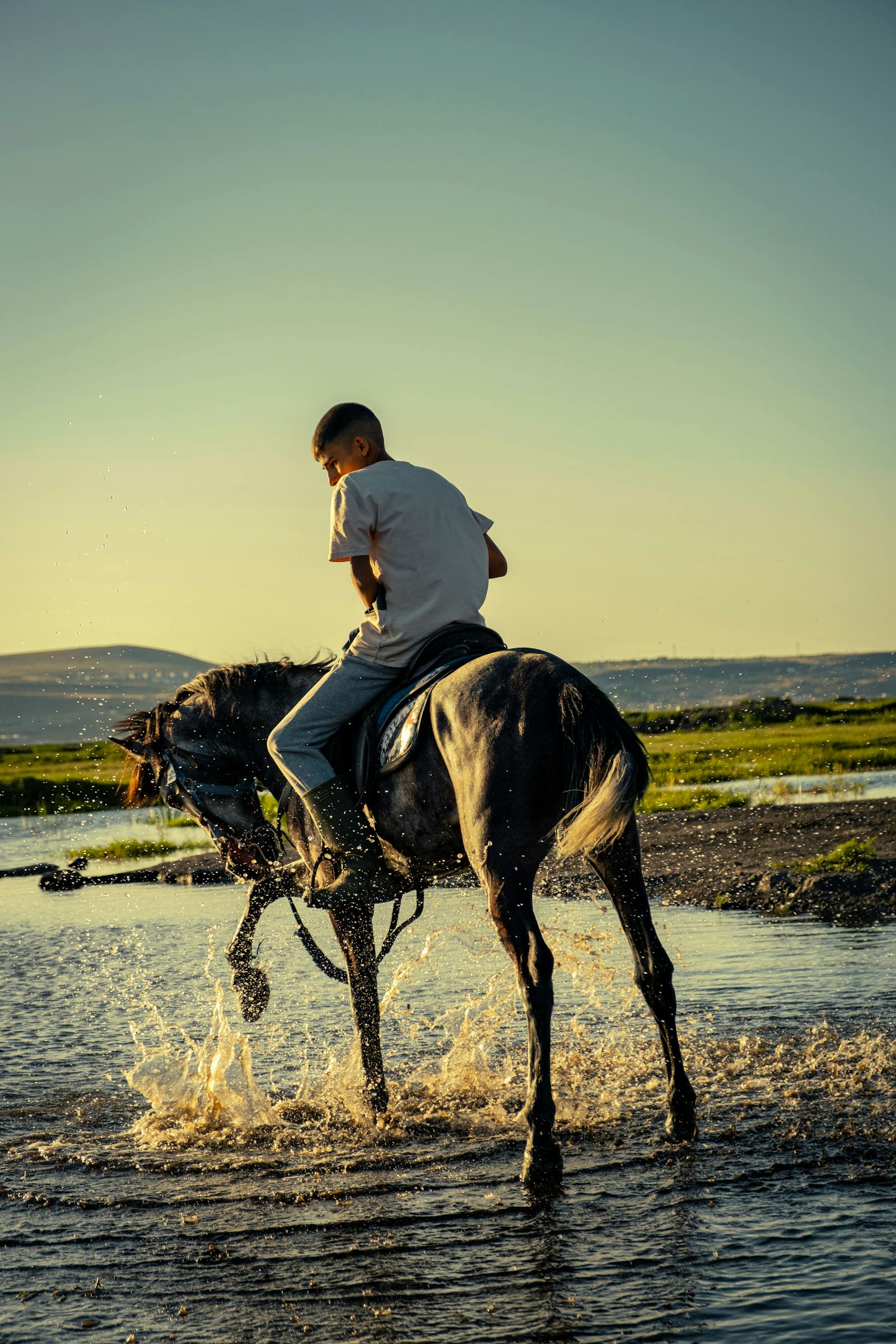Person Riding Horses During Sunset · Free Stock Photo