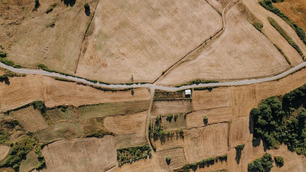 Stunning aerial photograph of rural fields near Istanbul during the summer season.