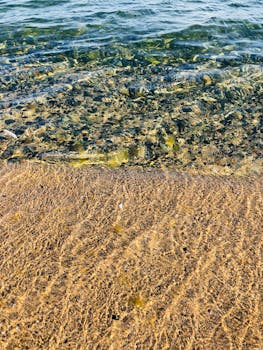 Tranquil view of a sandy beach meeting clear waters in Yalova, Türkiye.