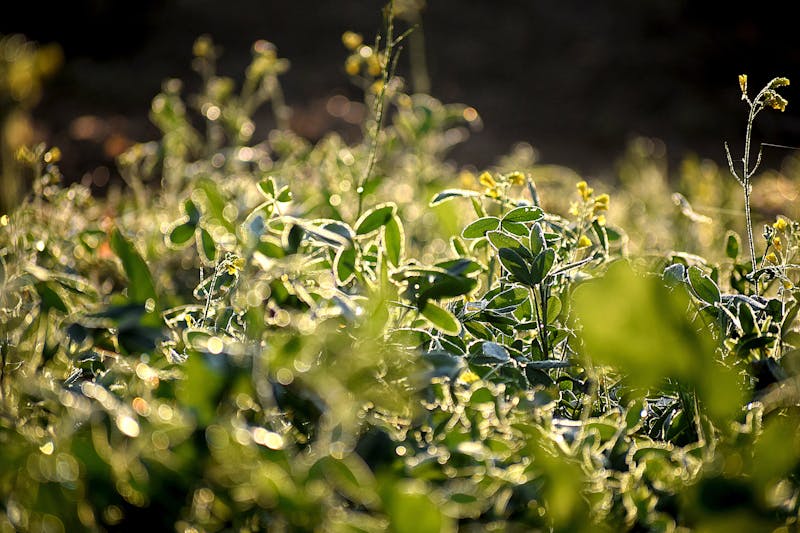 Изображение B