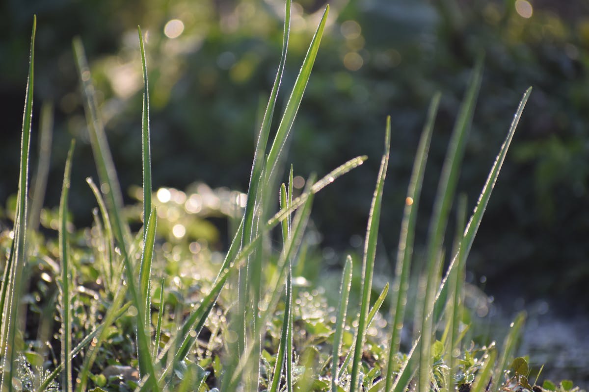 Cozy workspace setup with warm lighting and laptop